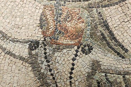 Immagine convenzione Musei