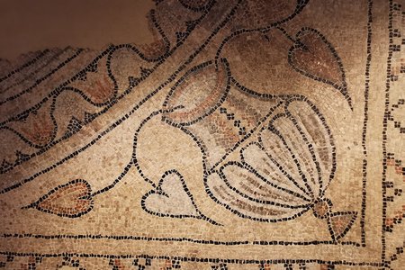 Immagine convenzione Musei