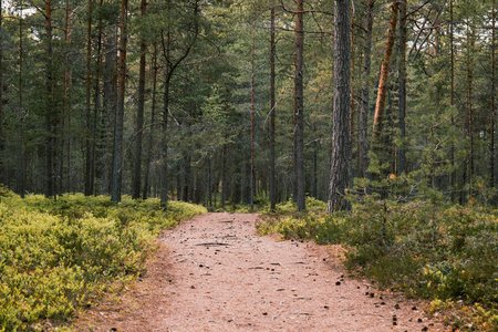 Immagine convenzione Viaggi / Turismo