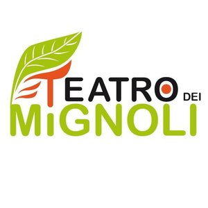TEATRO DEI MIGNOLI APS