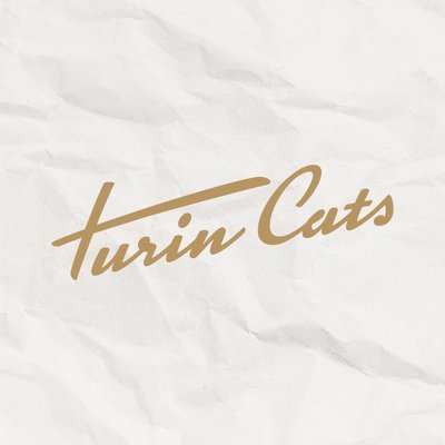 TURIN CATS APS