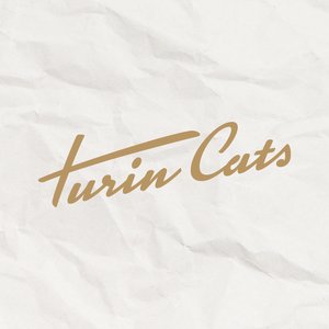 TURIN CATS APS