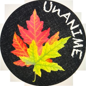 UNANIME APS