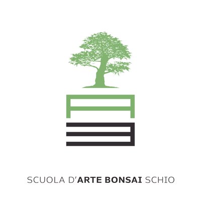 SCUOLA D’ARTE BONSAI SCHIO APS