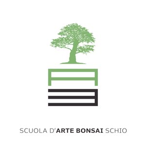 SCUOLA D’ARTE BONSAI SCHIO APS