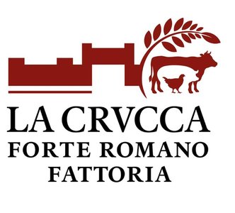 CASTRUM ROMANO