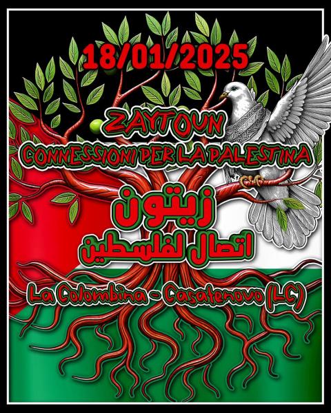 ZAYTOUN - CONNESSIONI PER LA PALESTINA