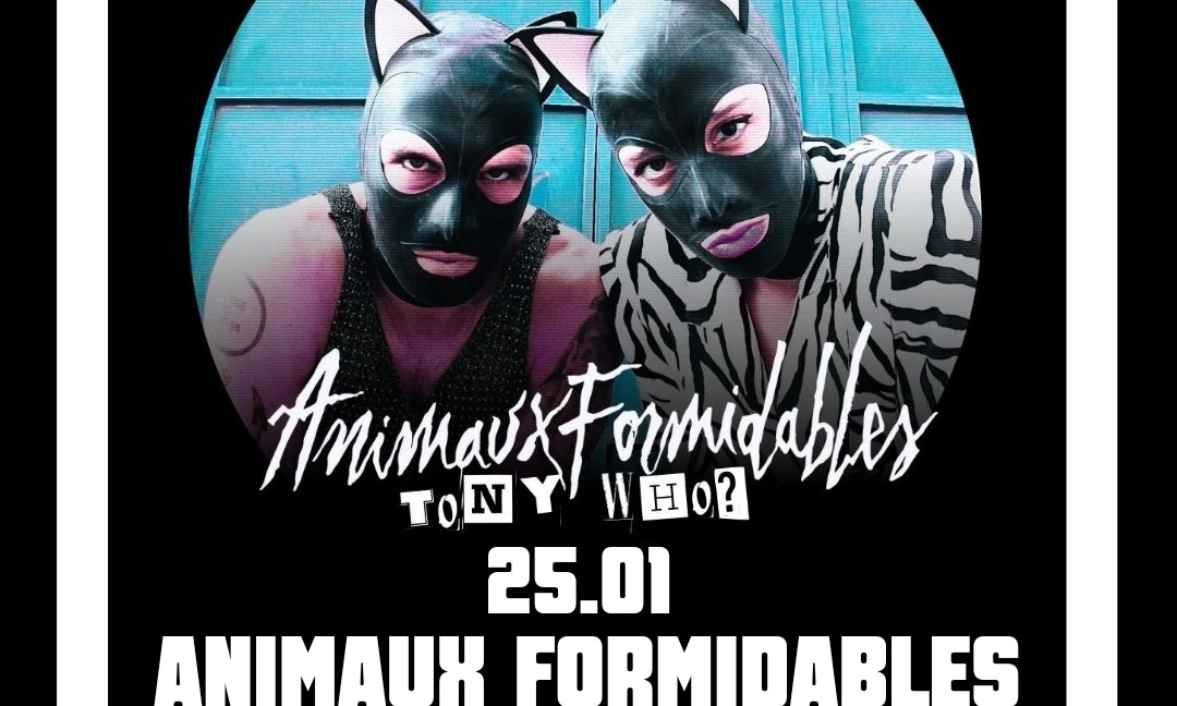 Animaux Formidables Live @Cap10100