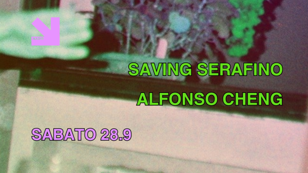 SAVING SERAFINO + ALFONSO CHENG
