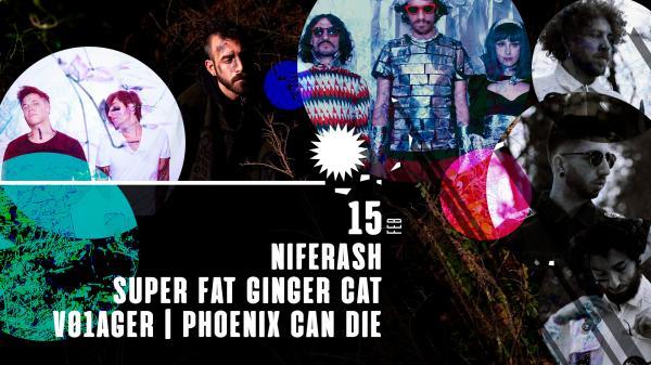 Niferash | V01ager | Super Fat Ginger Cat | Phoenix Can Die