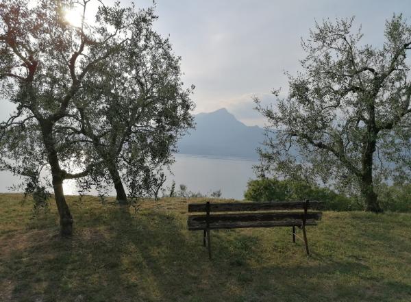 Ciclotour sulla riviera degli ulivi: Peschiera-Lazise-Colà