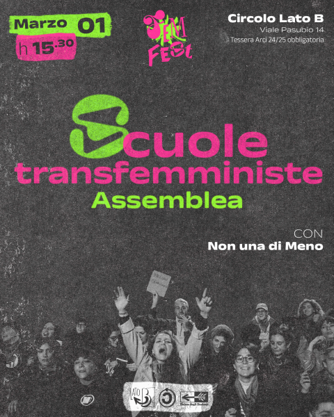 FEM FEST | Scuole Transfemministe