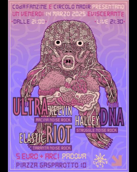 ULTRAKELVIN + HALLEY DNA + ELASTIC RIOT