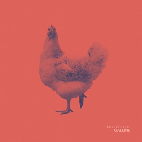 Niccolò BOSIO & La Catastrofe Mondiale suona ''Galline''