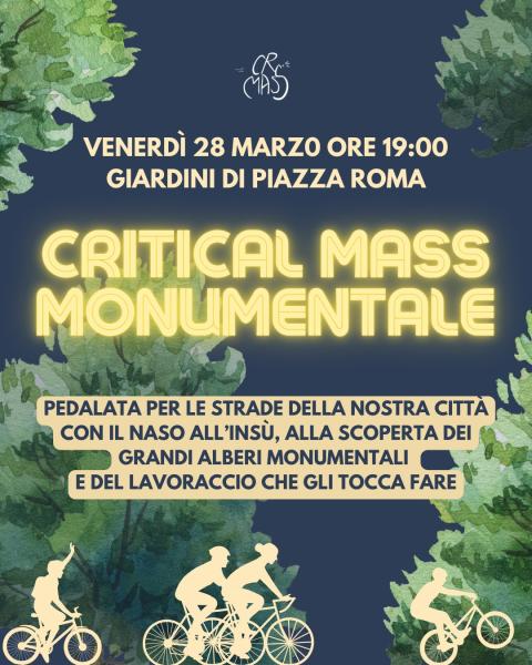 🌳 𝗖𝗥𝗜𝗧𝗜𝗖𝗔𝗟 𝗠𝗔𝗦𝗦 𝗠𝗢𝗡𝗨𝗠𝗘𝗡𝗧𝗔𝗟𝗘 🌳