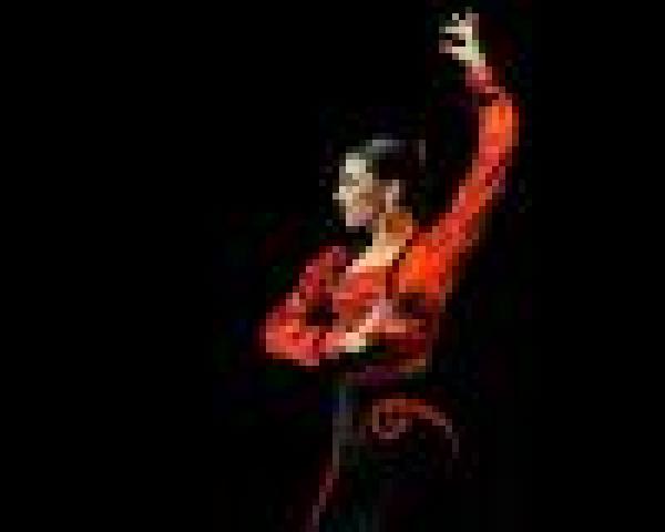 Tablao Flamenco @ La Scighera