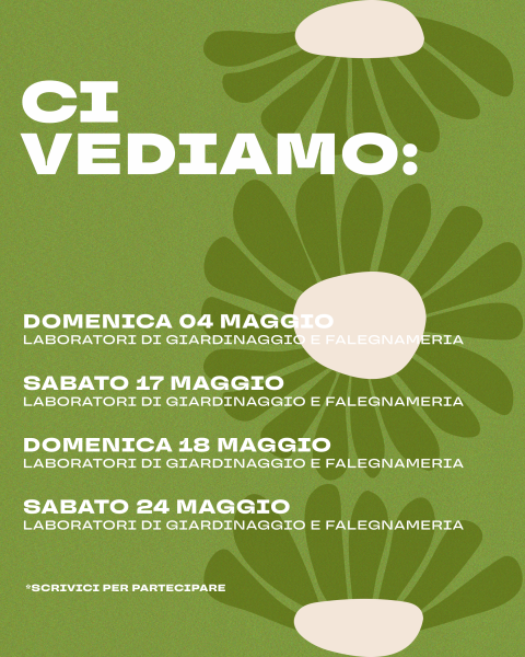 MANI NEL VERDE🌿