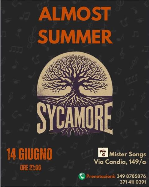 Sycamore