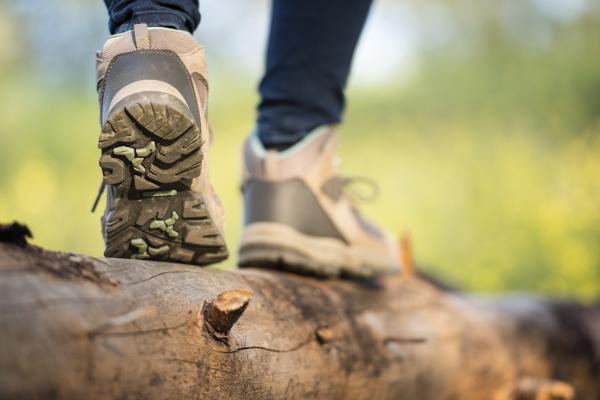 La Via degli dei. Conversare con i piedi