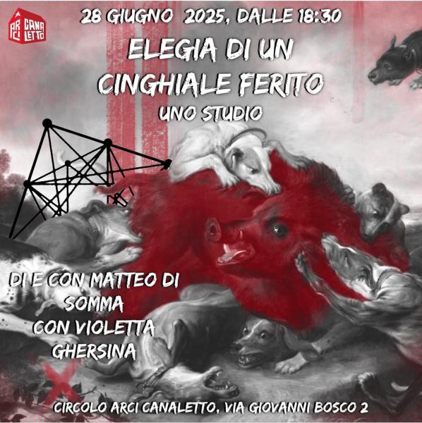 ELEGIA DI UN CINGHIALE FERITO