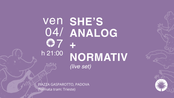 YUCCA FEST: She’s Analog + Normativ (live set)