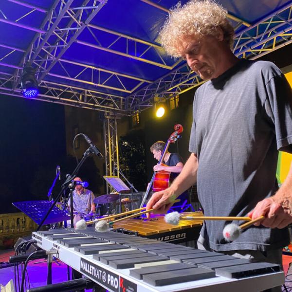 Luca Gusella Trio