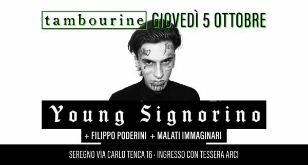 YOUNG SIGNORINO