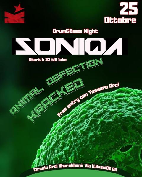 SONIQA DnB NIGHT w/ Kracked + Animal Defection