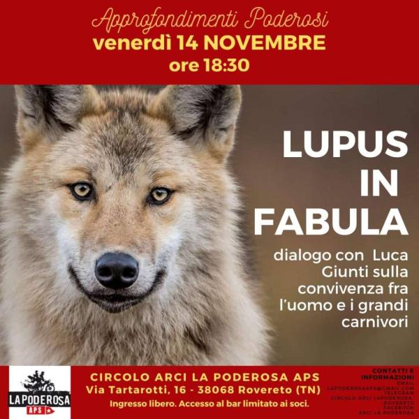 Approfondimenti poderosi