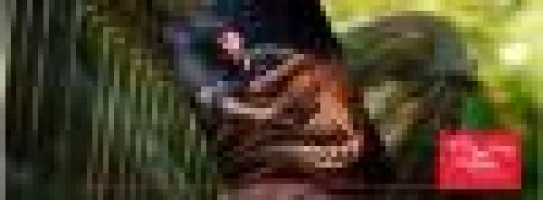 Arpacadabra: Adriano Sangineto @ ScigheraInFolk