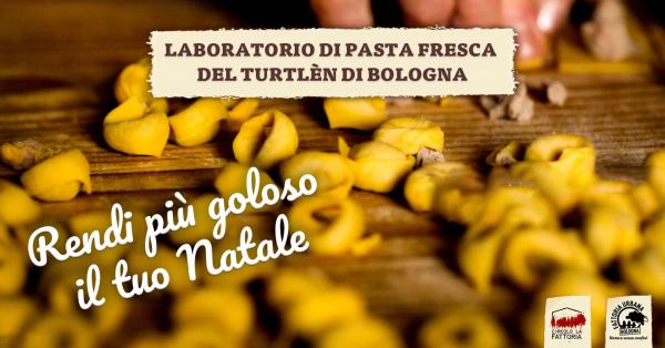 Laboratorio di Turtlen