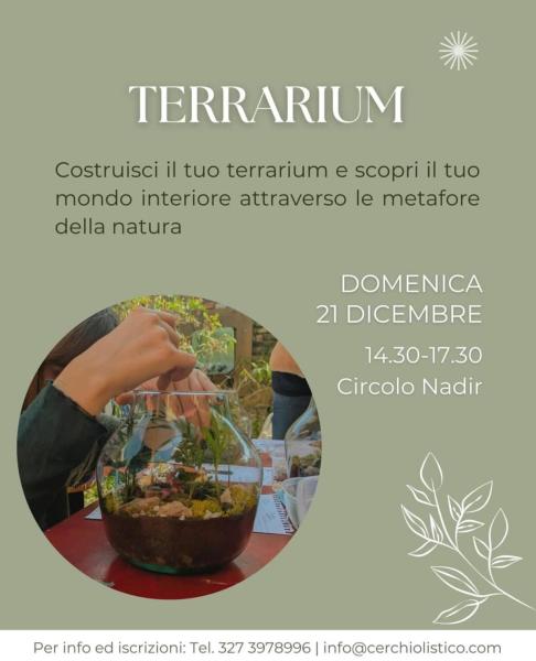 Impara a costruire il tuo terrarium