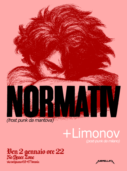 normativ+limonov punk punk punk MarmellatA