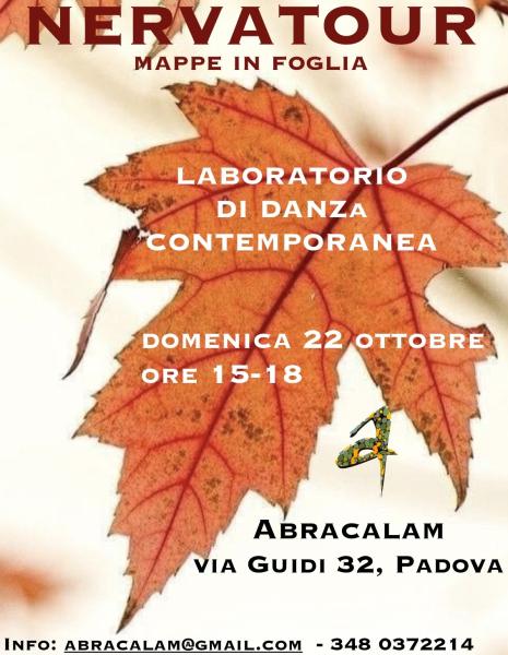 Nervatour - laboratorio danza contemporanea