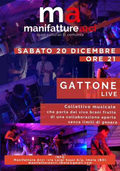 COLLETTIVO GATTONE