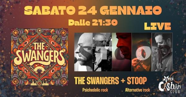 LIVE//THE SWANGERS + STOOP