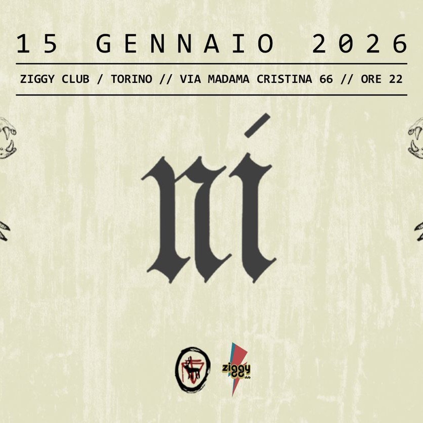 NI Live | Ziggy Club