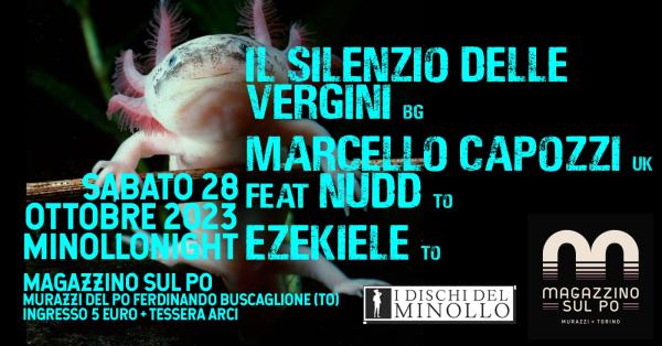 Minollo Night Live