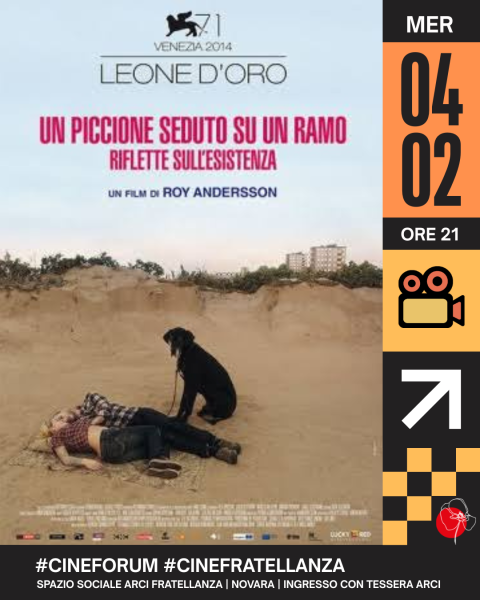 Un piccione seduto su un ramo riflette sull'esistenza (#cinefratellanza)