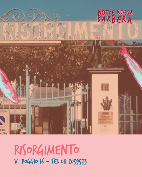 NOTTE ROSSA BARBERA