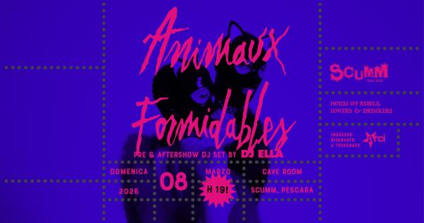 Animaux Formidables live @ Scumm Cave Room