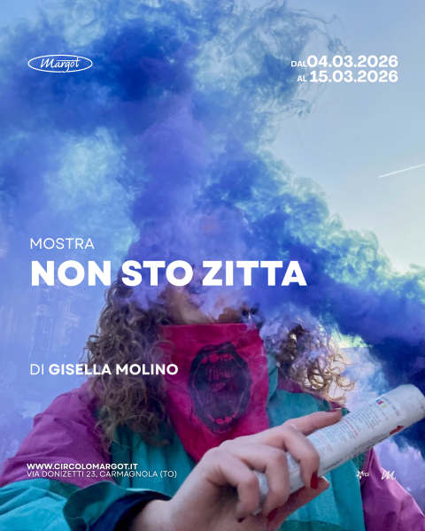 Mostra - NON STO ZITTA!