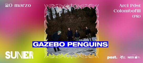 𝗚𝗮𝘇𝗲𝗯𝗼 𝗣𝗲𝗻𝗴𝘂𝗶𝗻𝘀 ✧ SUNER Festival