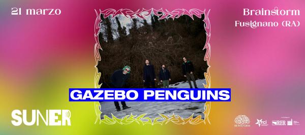 𝗚𝗮𝘇𝗲𝗯𝗼 𝗣𝗲𝗻𝗴𝘂𝗶𝗻𝘀 ✧ SUNER Festival