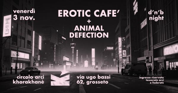 D'n'B NIGHT - EROTIC CAFE' + ANIMAL DEFECTION