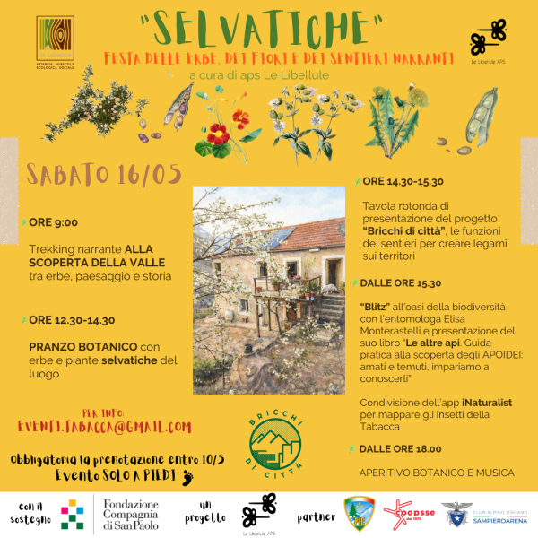 SELVATICHE- festa delle erbe, dei fiori  e dei sentieri narrativi