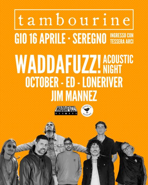 🎶 WADDAFUZZ! RECORDS • ACOUSTIC NIGHT