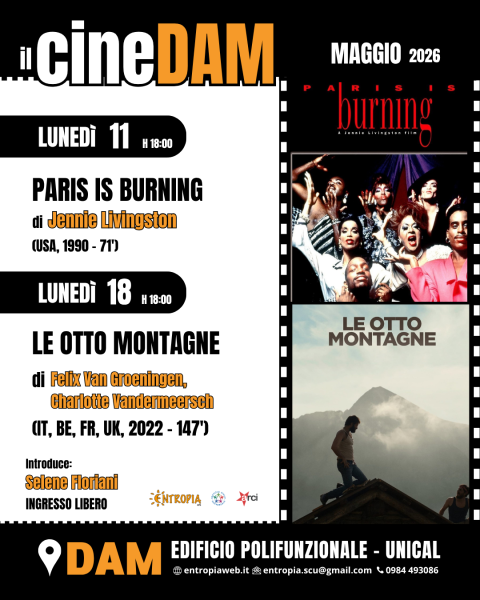 il CineDAM