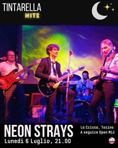 TINTARELLA NITE - Neon Strays
