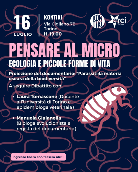 PENSARE AL MICRO